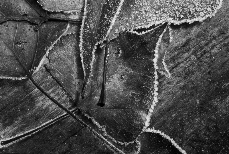 Stacks Image 306