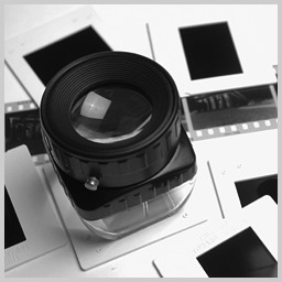 Stacks Image 159