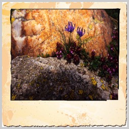 Stacks Image 161