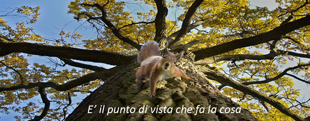 E' il punto di vista che fa la cosa